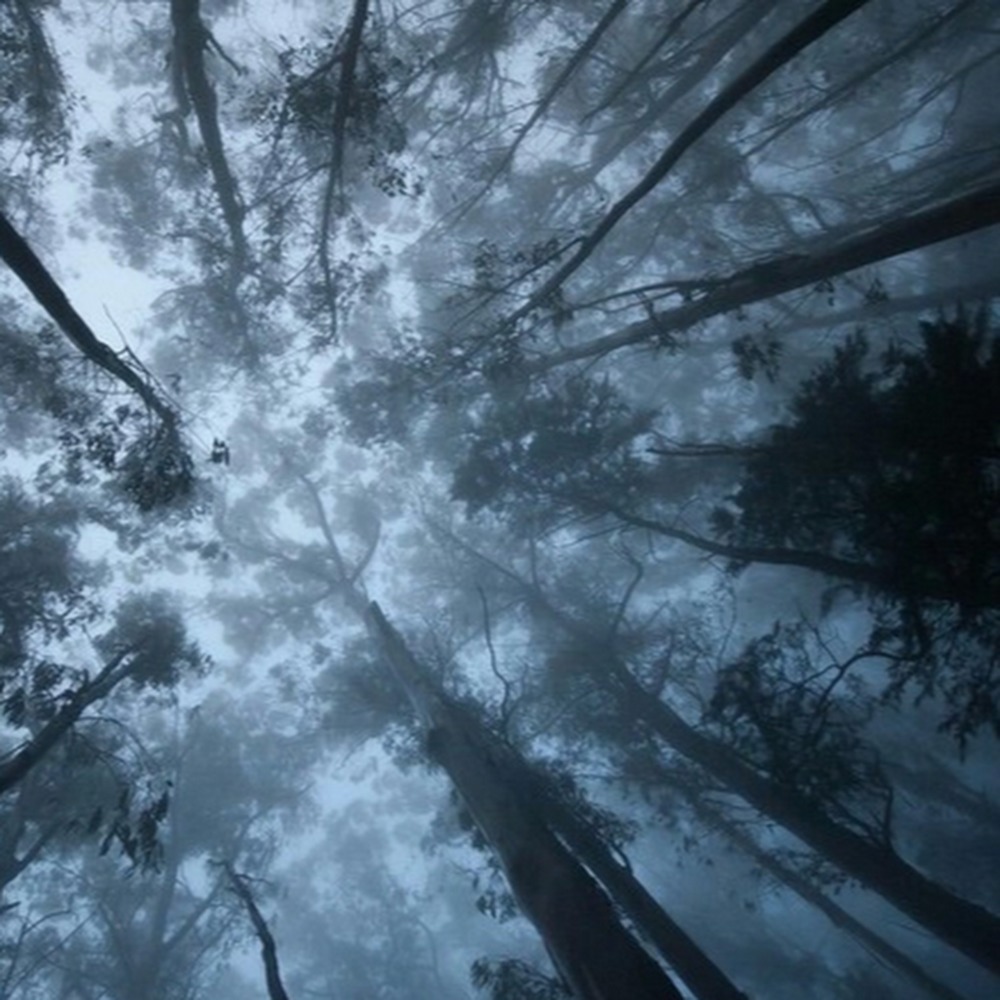 Meet your Posher, Jessa